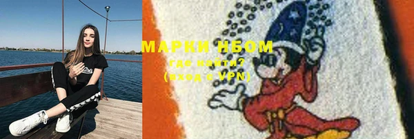 spice Дмитриев