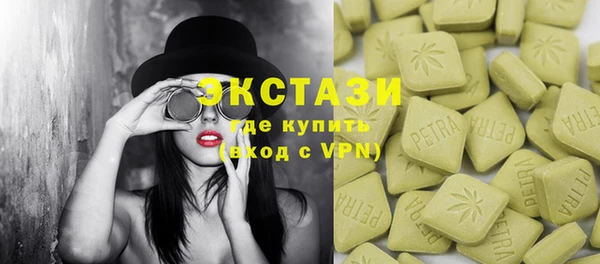 гашик Дмитров
