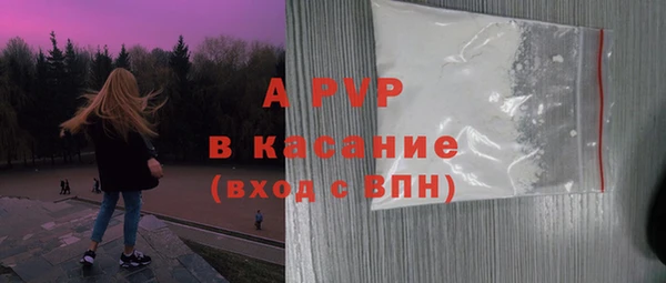 гашик Дмитров