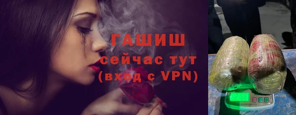 гашик Дмитров