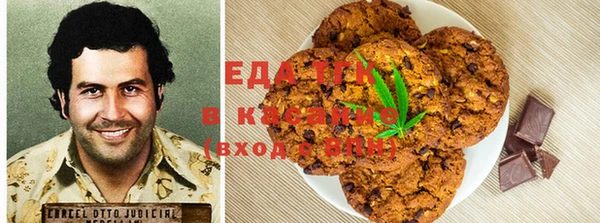 spice Дмитриев