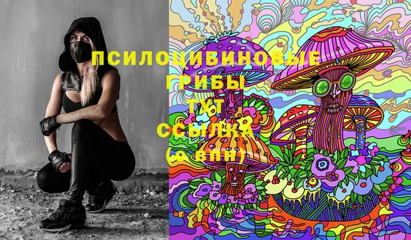 марки lsd Гусь-Хрустальный