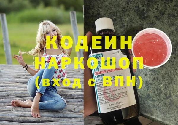 spice Дмитриев