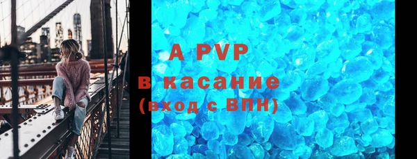 гашик Дмитров