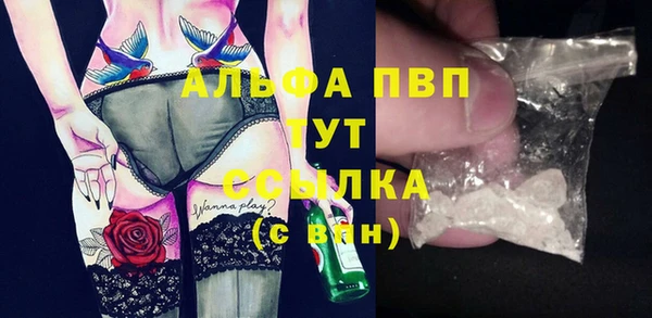 spice Дмитриев