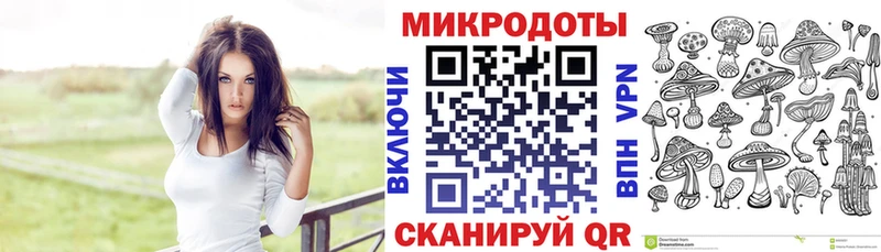 Купить  Заволжье  Галлюциногенные грибы прущие грибы 